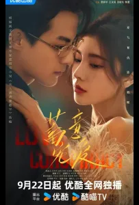 Любовный заговор / Любовь по плану (сериал 2025)