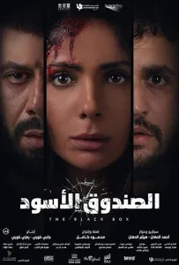 Черная коробка (фильм 2020)