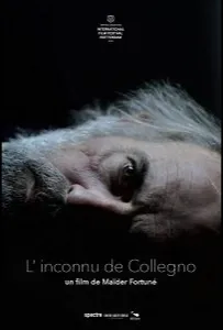 Незнакомец из Колленьо (фильм 2019)